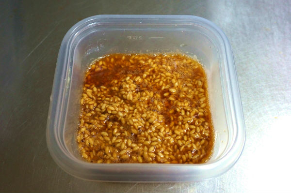 醤油麹1日目