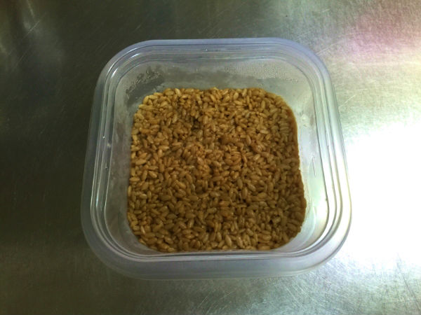 醤油麹2日目