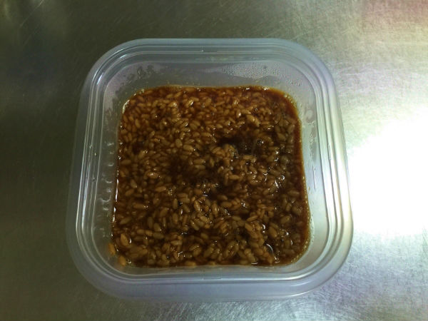 醤油麹3日目