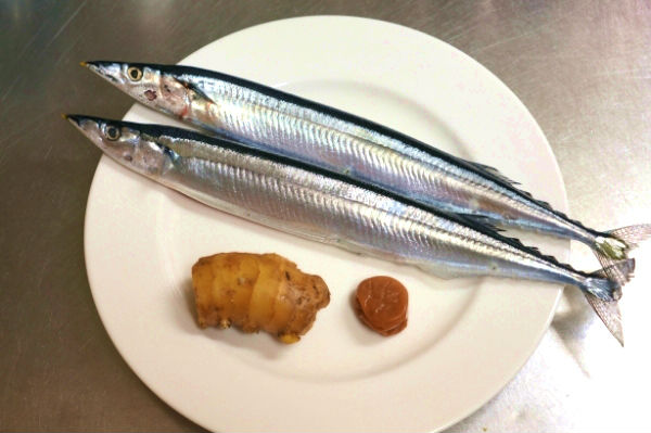 材料
