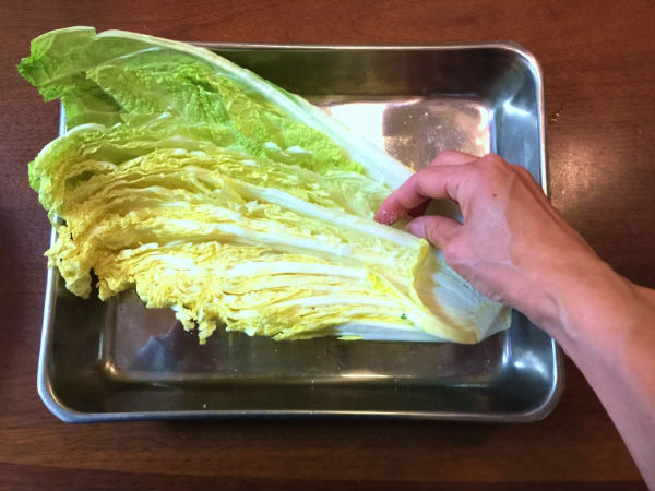 塩漬けした白菜