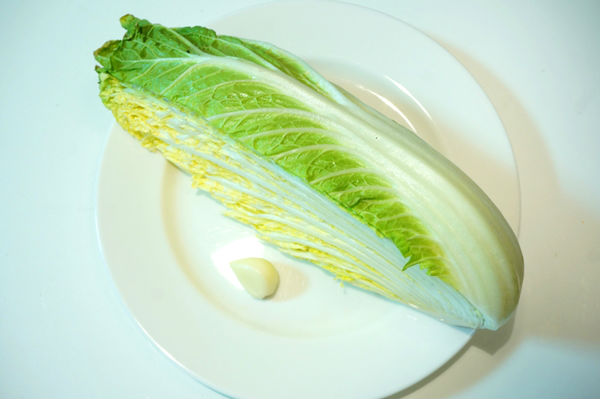 材料