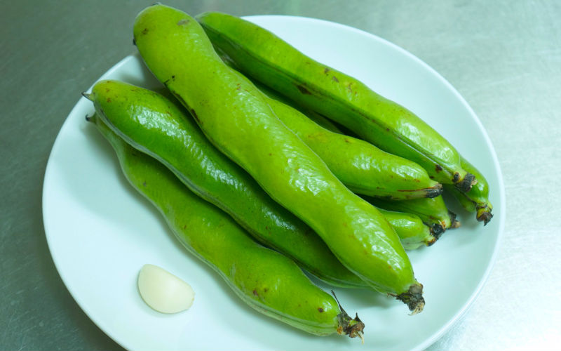 材料
